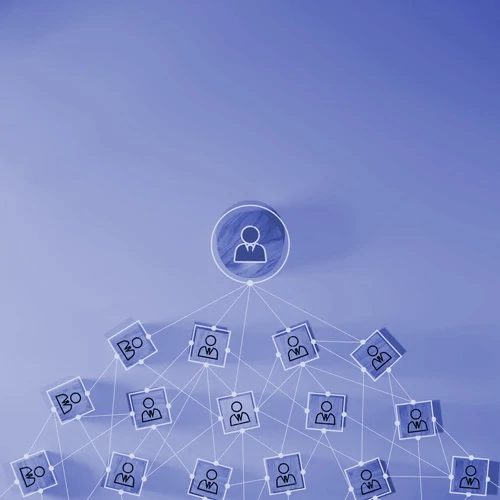 Succession Planning & Talent Mapping